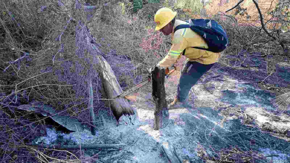 Coesfo liquida incendio forestal en Santiago Astata