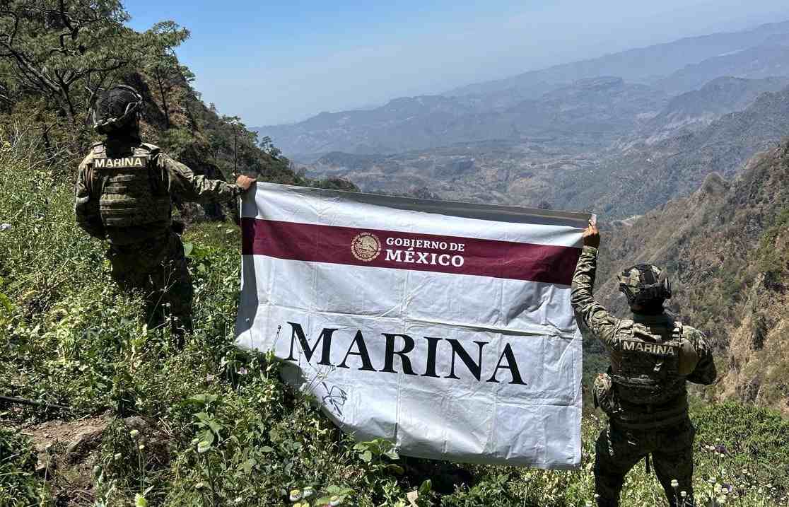 Marina destruye más de 3 millones de plantas de amapola en Nayarit