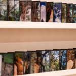 Museo Tamayo celebra 45 años con tres exposiciones que conectan historia, arte contemporáneo y cultura popular