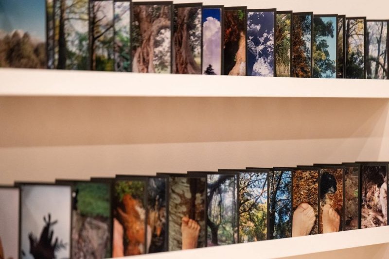 Museo Tamayo celebra 45 años con tres exposiciones que conectan historia, arte contemporáneo y cultura popular