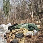 Desmantelan laboratorio clandestino en Sinaloa con más de 3 toneladas de sustancias químicas  Aseguran precursores, equipo especializado y producto terminado en operativo naval que evitó la producción de miles de dosis de droga  Topolobampo, Sinaloa.– Elementos de la Secretaría de Marina, a través de la Armada de México, en coordinación con la Fiscalía General de la República (FGR), desmantelaron un laboratorio clandestino destinado a la elaboración de drogas sintéticas en el poblado de Los Cedritos, Sinaloa.  El operativo se realizó como parte de acciones navales orientadas a debilitar estructuras criminales dedicadas a la producción de estupefacientes, logrando el aseguramiento de aproximadamente 700 kilogramos de producto terminado, así como una importante cantidad de sustancias químicas y equipo utilizado en el proceso de fabricación.  Aseguramiento de químicos y equipo especializado  En el lugar, las autoridades incautaron alrededor de 2 mil 300 litros de precursores químicos líquidos, 400 litros de ácido clorhídrico, 100 litros de acetato de amonio y 3 mil 275 kilogramos de sustancias de uso dual.  Asimismo, fueron aseguradas seis centrifugadoras, 40 tinas, cinco quemadores, 64 tambos, 36 bidones y diverso material empleado para la producción de drogas sintéticas, el cual fue inhabilitado para evitar su reutilización.  Impacto al crimen organizado  De acuerdo con el informe oficial, con este aseguramiento se evitó la producción de aproximadamente 17 mil 500 dosis de droga, lo que representa una afectación económica superior a los 175 millones de pesos para los grupos delictivos que operan en la entidad.  La Secretaría de Marina señaló que estas acciones forman parte de la estrategia conjunta para combatir la instalación de laboratorios clandestinos y la fabricación de drogas sintéticas en el país, con el objetivo de reducir su producción y distribución entre la población.  Fuente: Secretaría de Marina–Armada de México  Palabras clave SEO: desmantelamiento de laboratorio clandestino, drogas sintéticas Sinaloa, Secretaría de Marina, FGR operativo, precursores químicos asegurados