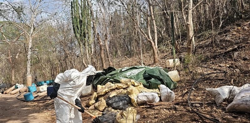 Desmantelan laboratorio clandestino en Sinaloa con más de 3 toneladas de sustancias químicas  Aseguran precursores, equipo especializado y producto terminado en operativo naval que evitó la producción de miles de dosis de droga  Topolobampo, Sinaloa.– Elementos de la Secretaría de Marina, a través de la Armada de México, en coordinación con la Fiscalía General de la República (FGR), desmantelaron un laboratorio clandestino destinado a la elaboración de drogas sintéticas en el poblado de Los Cedritos, Sinaloa.  El operativo se realizó como parte de acciones navales orientadas a debilitar estructuras criminales dedicadas a la producción de estupefacientes, logrando el aseguramiento de aproximadamente 700 kilogramos de producto terminado, así como una importante cantidad de sustancias químicas y equipo utilizado en el proceso de fabricación.  Aseguramiento de químicos y equipo especializado  En el lugar, las autoridades incautaron alrededor de 2 mil 300 litros de precursores químicos líquidos, 400 litros de ácido clorhídrico, 100 litros de acetato de amonio y 3 mil 275 kilogramos de sustancias de uso dual.  Asimismo, fueron aseguradas seis centrifugadoras, 40 tinas, cinco quemadores, 64 tambos, 36 bidones y diverso material empleado para la producción de drogas sintéticas, el cual fue inhabilitado para evitar su reutilización.  Impacto al crimen organizado  De acuerdo con el informe oficial, con este aseguramiento se evitó la producción de aproximadamente 17 mil 500 dosis de droga, lo que representa una afectación económica superior a los 175 millones de pesos para los grupos delictivos que operan en la entidad.  La Secretaría de Marina señaló que estas acciones forman parte de la estrategia conjunta para combatir la instalación de laboratorios clandestinos y la fabricación de drogas sintéticas en el país, con el objetivo de reducir su producción y distribución entre la población.  Fuente: Secretaría de Marina–Armada de México  Palabras clave SEO: desmantelamiento de laboratorio clandestino, drogas sintéticas Sinaloa, Secretaría de Marina, FGR operativo, precursores químicos asegurados