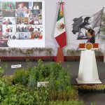 Gobierno de México realizará Jornada Nacional de Reforestación 2026