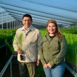 Oaxaca participará en la Jornada Nacional de Reforestación 2026 con 17 millones de plantas