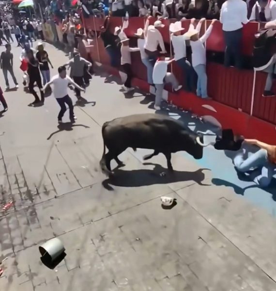 Huamantlada 2026 deja dos personas fallecidas y nueve lesionadas