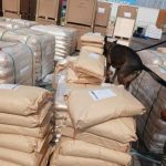Inmovilizan más de 54 toneladas de dextrosa anhidra en Manzanillo